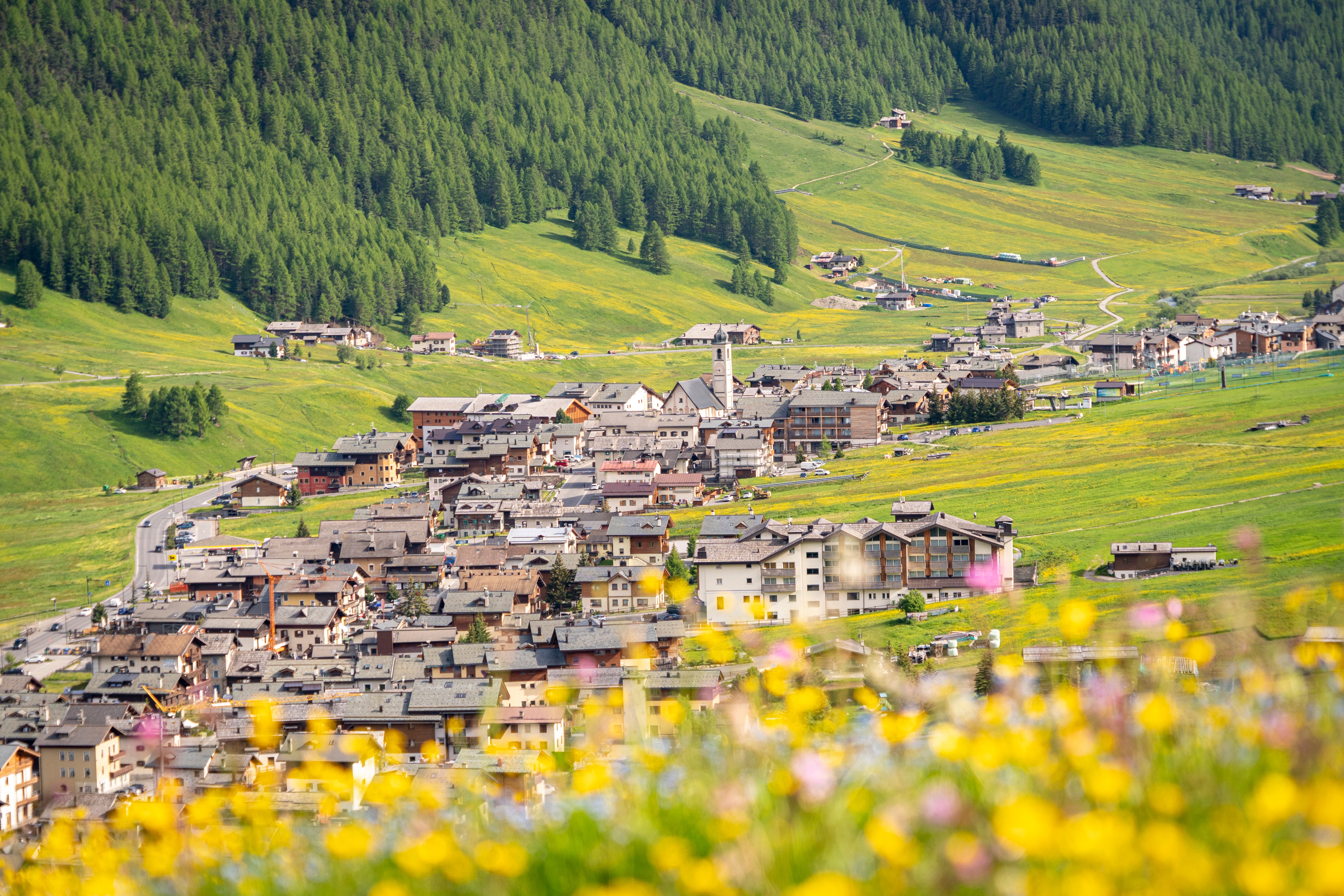Livigno_Summer 1