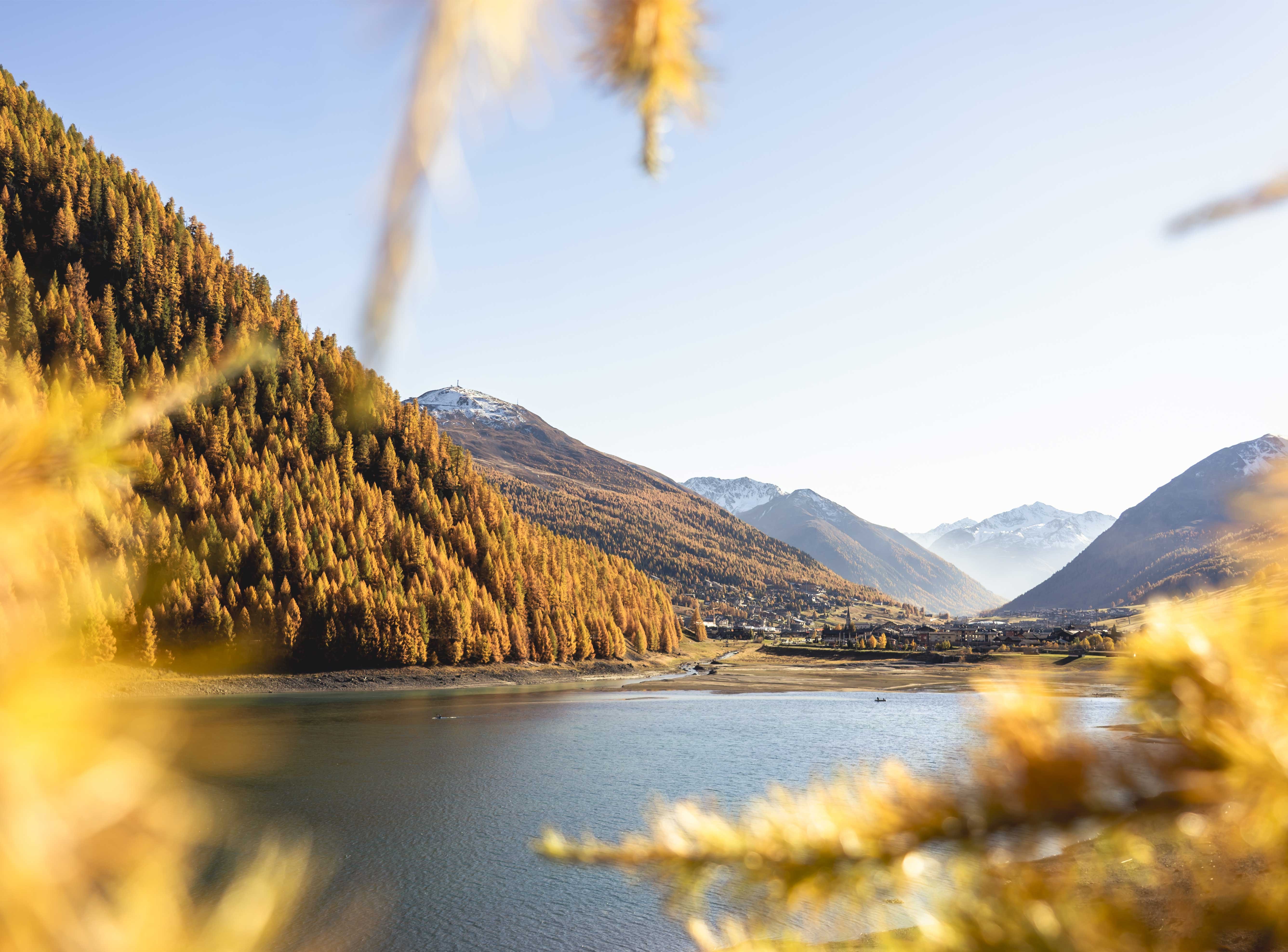 autunno2