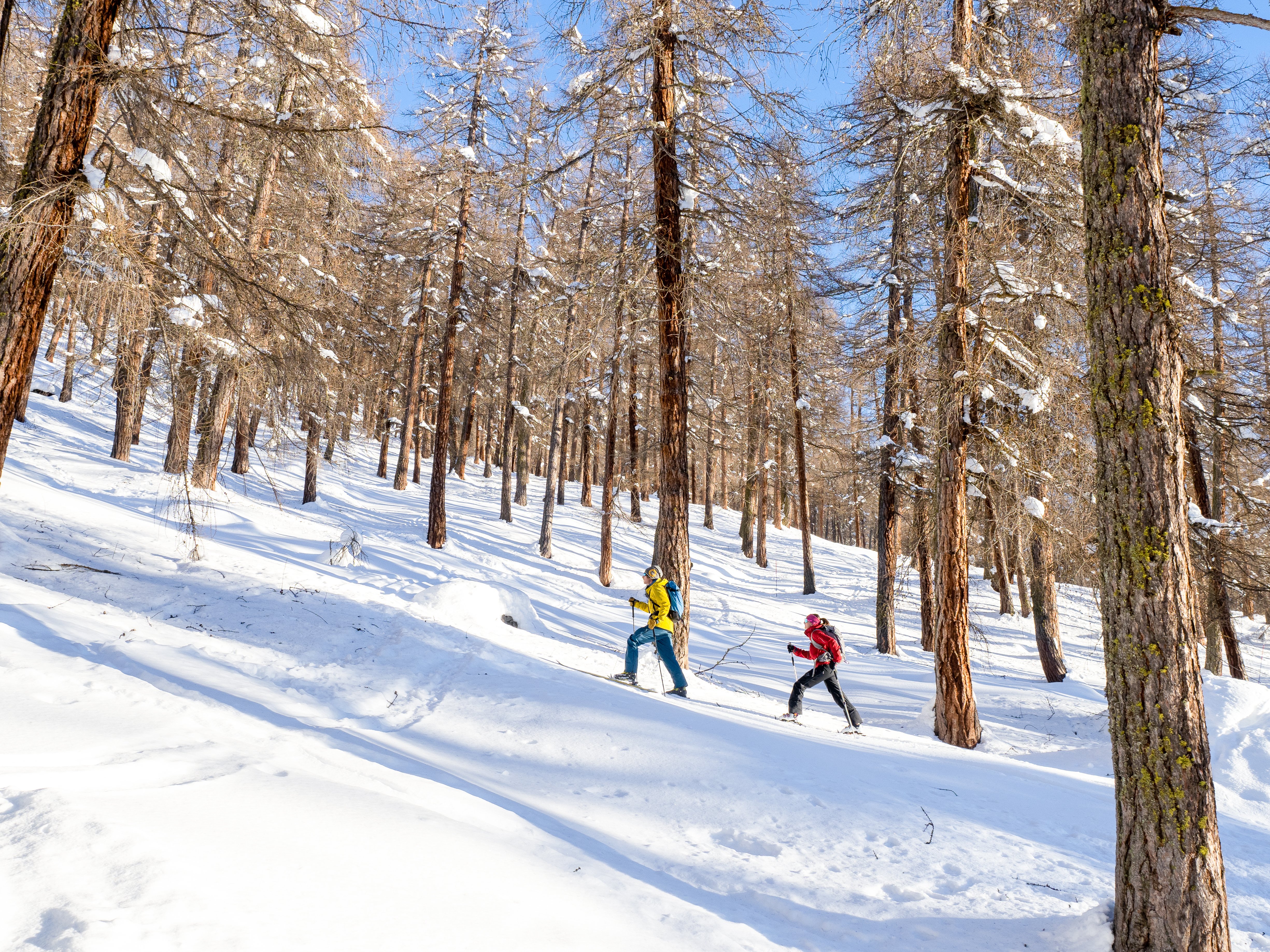 sci alpinisimo per tutti --18