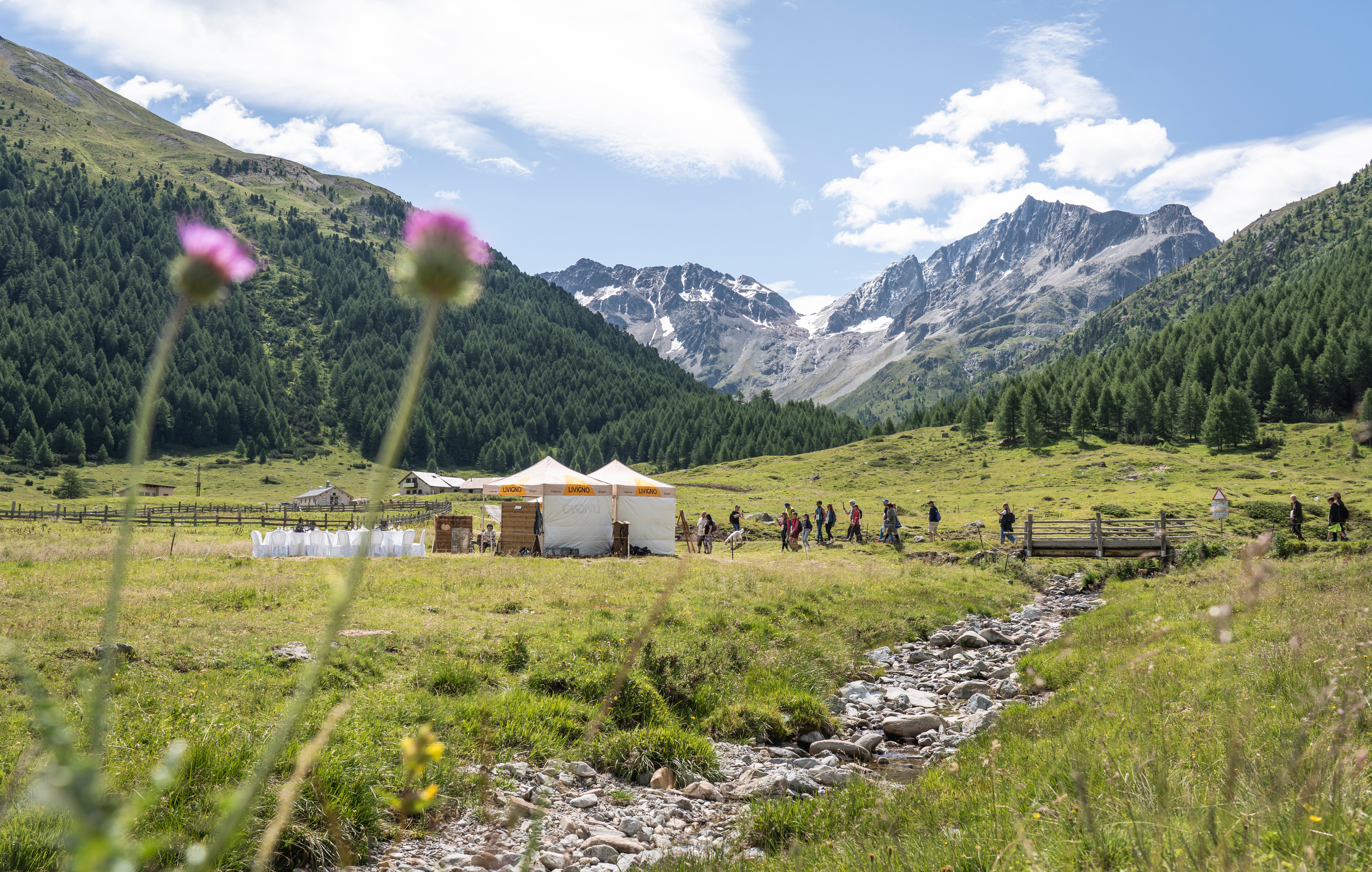 ALTA CUCINA TRA LE VETTE: LIVIGNO INCANTA CON SENTIERO GOURMET